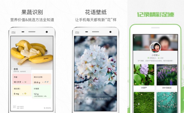 形色手机版：一款拥有海量花卉壁纸的花卉壁纸提供软件